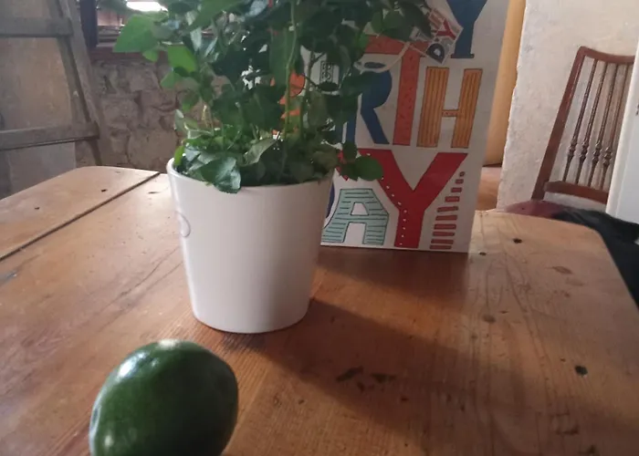 Johnny's Place Šibenik